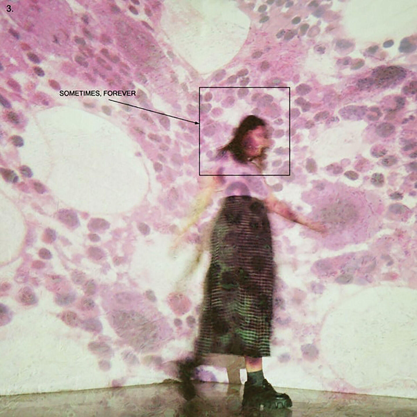 album art soccer mommy sometimes forever BON 2022
